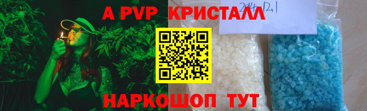 Альфа ПВП СК КРИС Луга