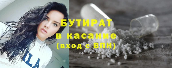 трава Карпинск