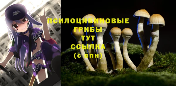 ПСИЛОЦИБИНОВЫЕ ГРИБЫ Алзамай