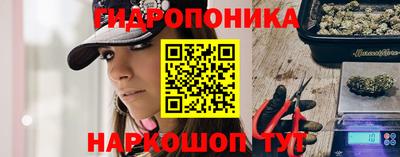 сатива Коммунар