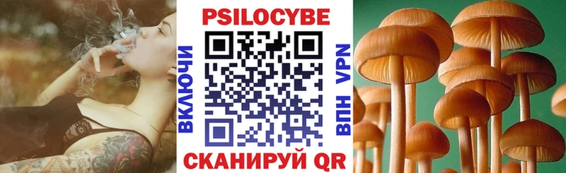 Псилоцибиновые грибы ЛСД  Луга 