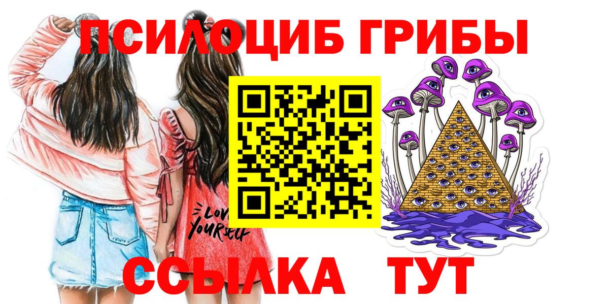 Псилоцибиновые грибы MAGIC MUSHROOMS  Вход с VPN  Луга 